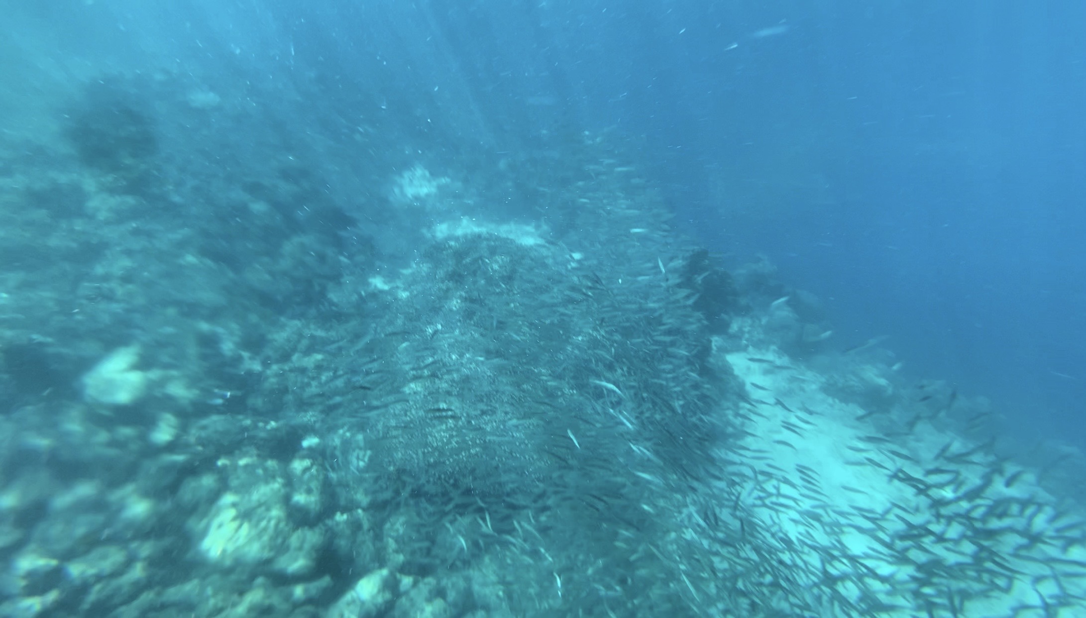 The shoal beside the town